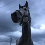 Konjeniški center Hariet